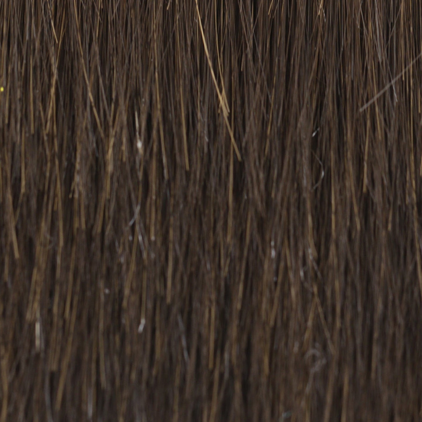 Undercut Bob (MC1414)