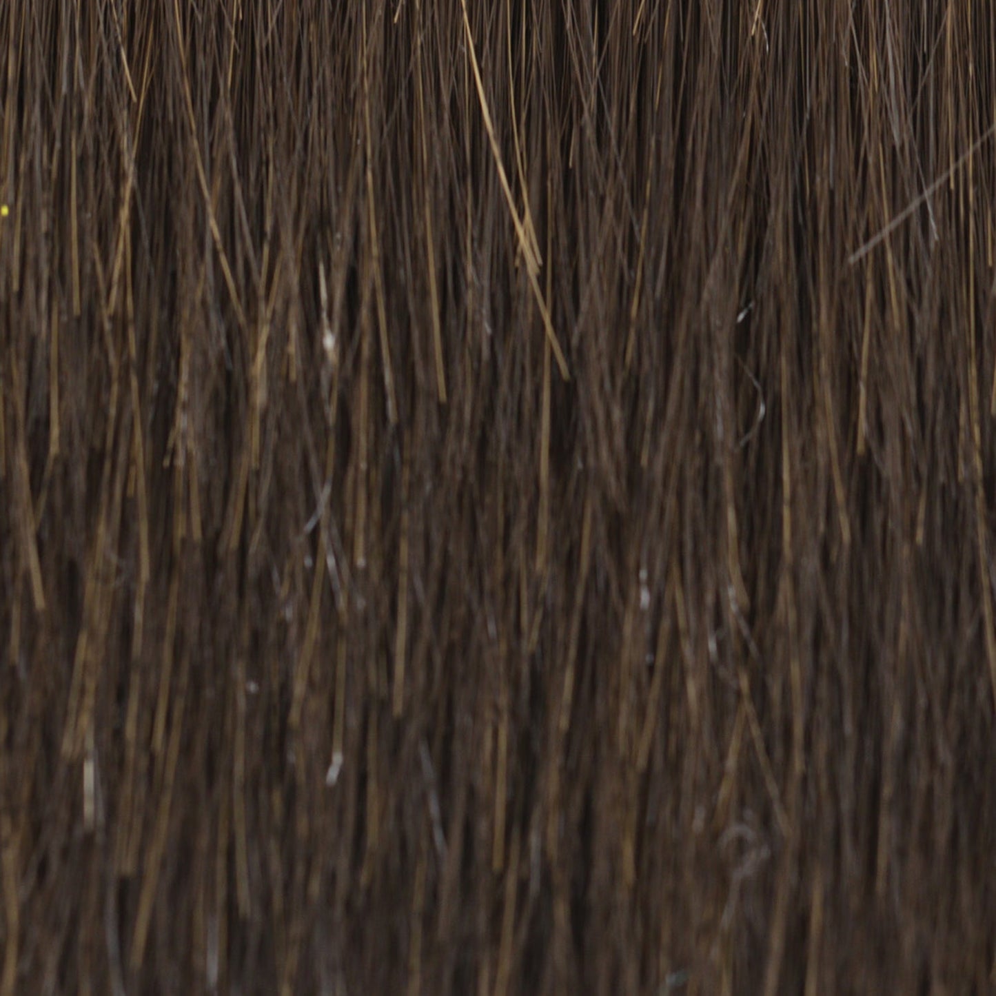 Angled Pixie Wig VC1202