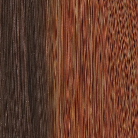Blaze F1704
