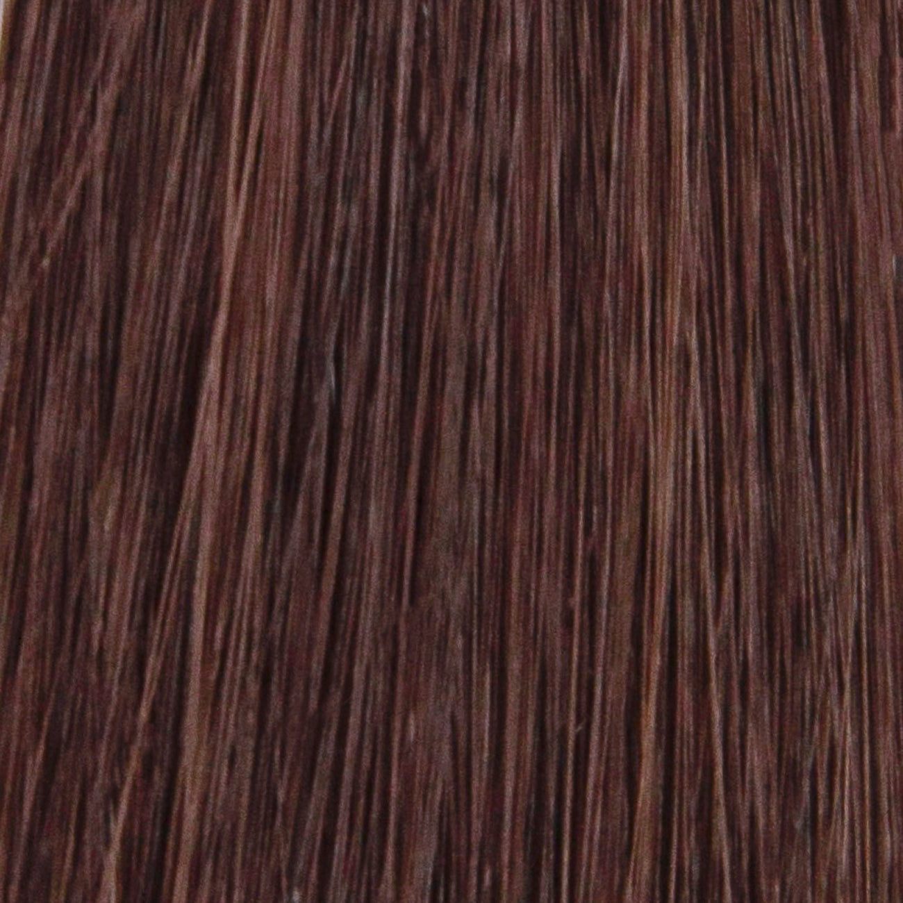 SHAY F1706