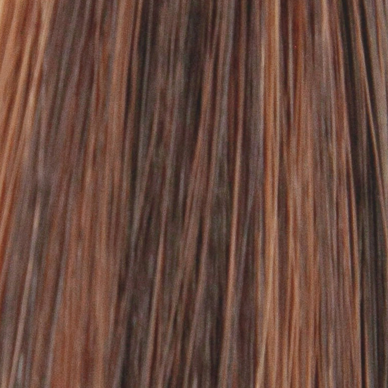 SHAY F1706